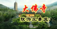 小黄片hhh中国浙江-新昌大佛寺旅游风景区